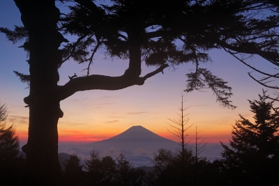 photo?id=10567&suffix=m