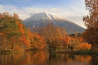 photo?id=10577&suffix=t