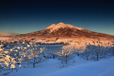 photo?id=10598&suffix=m