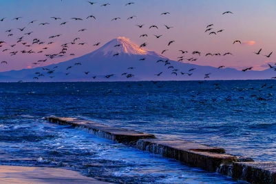 photo?id=10637&suffix=m