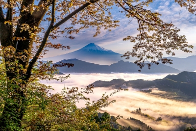 photo?id=10638&suffix=m