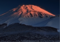 photo?id=10748&suffix=t