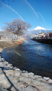 photo?id=10757&suffix=m