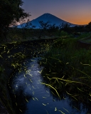 photo?id=10760&suffix=t