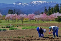 photo?id=10769&suffix=t