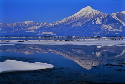 photo?id=10771&suffix=m