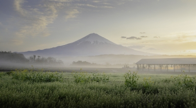 photo?id=10797&suffix=m