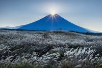 photo?id=10800&suffix=t