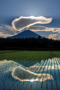 photo?id=10803&suffix=m