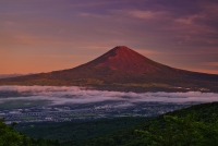 photo?id=10869&suffix=t