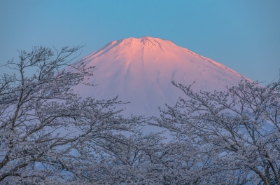 photo?id=10884&suffix=m