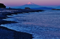 photo?id=10900&suffix=t