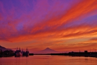 photo?id=10901&suffix=t