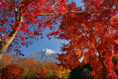 photo?id=10933&suffix=m