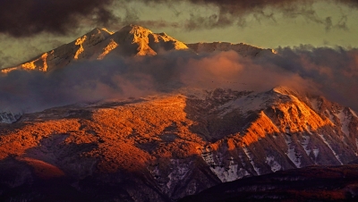 photo?id=10952&suffix=m