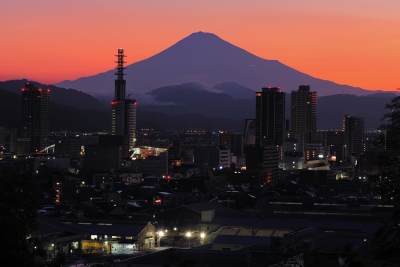 photo?id=10954&suffix=m