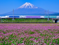 photo?id=11003&suffix=t