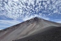 photo?id=11021&suffix=t