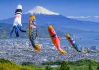 photo?id=11065&suffix=t