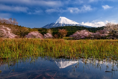 photo?id=11206&suffix=m