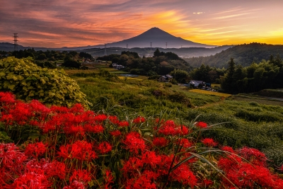 photo?id=11207&suffix=m