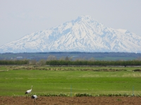 photo?id=11215&suffix=t