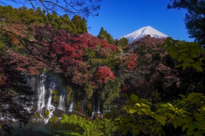 photo?id=11229&suffix=m