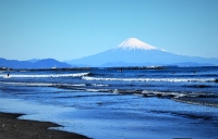photo?id=1123&suffix=t