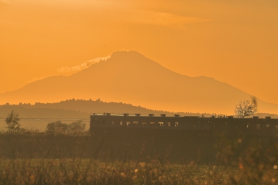 photo?id=11230&suffix=m