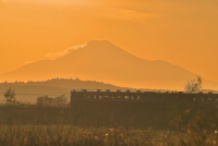 photo?id=11230&suffix=t