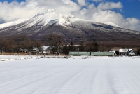 photo?id=11235&suffix=t