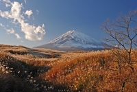 photo?id=11241&suffix=t