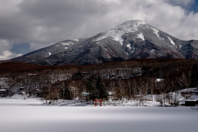 photo?id=11256&suffix=m