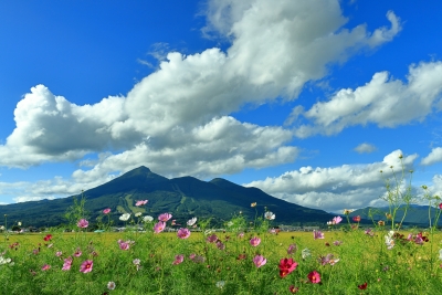 photo?id=11269&suffix=m