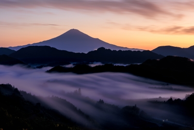 photo?id=11316&suffix=m