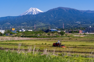 photo?id=11375&suffix=m