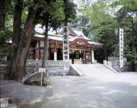 photo?id=11388&suffix=t