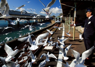 photo?id=11392&suffix=m