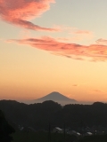 photo?id=1161&suffix=t