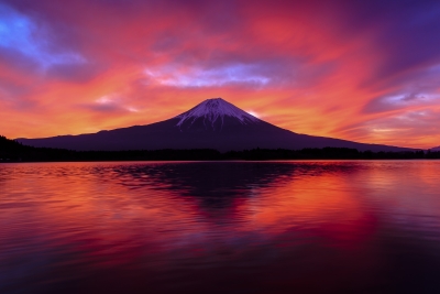 photo?id=1199&suffix=m