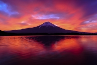 photo?id=1199&suffix=t