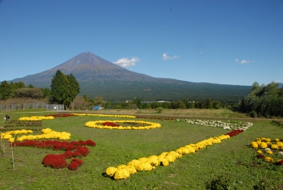 photo?id=1219&suffix=m