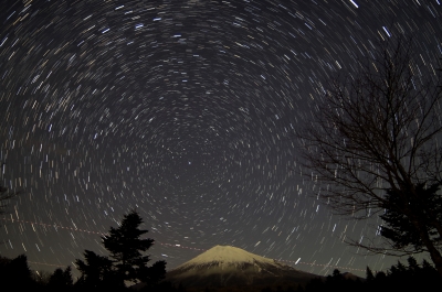 photo?id=1257&suffix=m