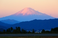 photo?id=1268&suffix=t