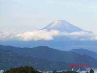 photo?id=1269&suffix=t