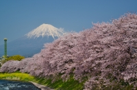 photo?id=1270&suffix=t