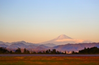 photo?id=1276&suffix=t