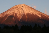 photo?id=1279&suffix=t
