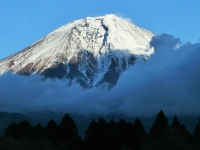photo?id=1280&suffix=t