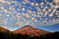 photo?id=1285&suffix=t